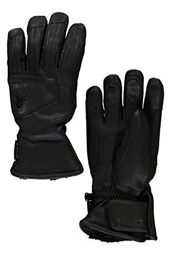 Spyder Active Sports Men's Turret Gore-TEX Ski Glove, Black, Large