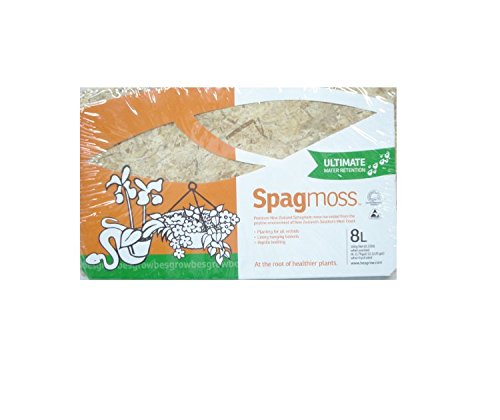 Spagmoss Premium New Zealand Sphagnum Moss Great for Reptiles, Bedding and Terrarium (100 Grams)