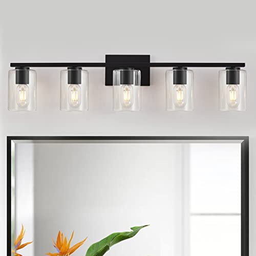DRNANLIT 5-Light Bathroom Light Over Mirror,Modern Vanity Lights with Clear Glass,Matte Black Metal Bathroom Lighting Fixture for Bedroom,Living Room,Kitchen