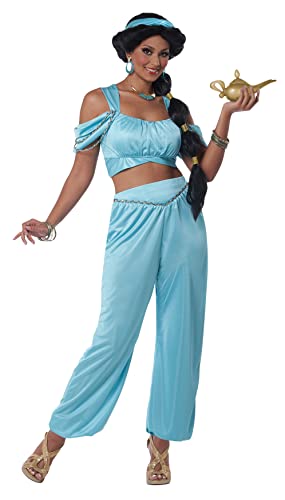 California Costumes, Classic Arabian Princess, Adult Small, Jade