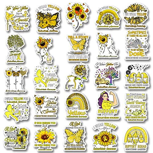 25Pcs Endometriosis Awareness Stickers, Inspirational Waterproof Vinyl Stickers for Water Bottles Book Laptop Car Truck Bicycle Decorations Decorative Accessories CB232, M