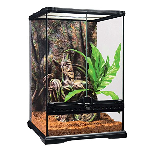 Exo Terra PT3778 Crested Gecko Kit, Small