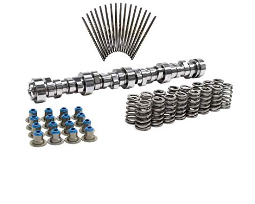 Brian Tooley BTR Truck Norris Camshaft for Gen 3/4 LS 4.8 5.3 5.7 6.0 6.2 LS1 Vortec Includes Michigan Motorsports Seals (Camshaft, Springs, Hat Seals, Pushrods)