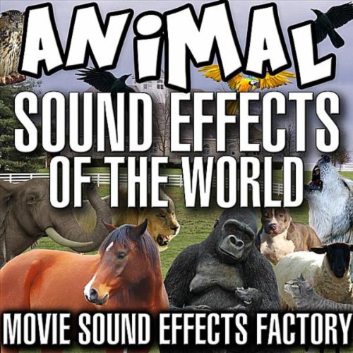 Animal Sound Effects of the World