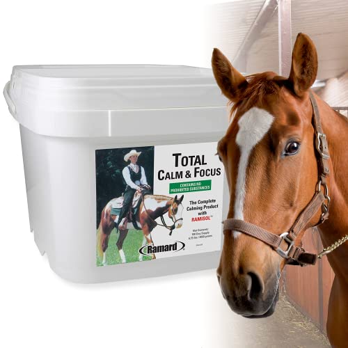 Ramard Total Calm & Focus Natural Oral Gel | Magnesium & Calming Supplement for Horse Show, Training, & Performance |Supports Mental Alertness, Stamina & Endurance | No Herbs or Banned Substances - Show Safe