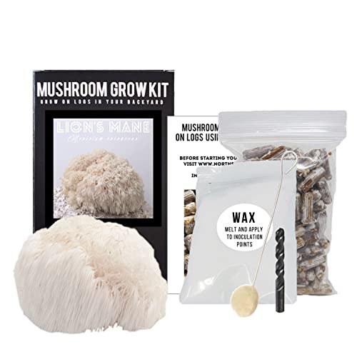 North Spore Lion's Mane Mushroom Log Kit, Outdoor DIY Mushroom Kit, Easy & Fun Wellness Hobby, Includes 100 Count Mushroom Plugs for Logs, Made in USA, Gourmet Culinary Mushrooms, Medicinal Mushrooms