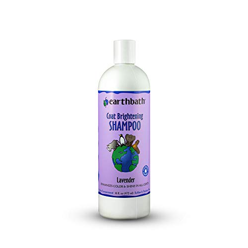 earthbath Coat Brightening Shampoo for Dogs & Cats  Enhances Color & Shine in All Coats, Made in The USA  Lavender, 16 oz