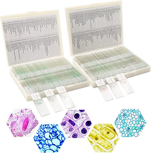 Prolee 200 Packs Microscope Slides, 100 Plants & 100 Animal Tissues Includes Labels and Case for Biological Science Education