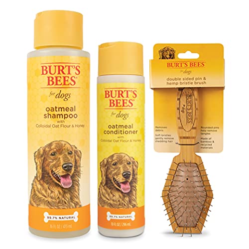 Burt's Bees Bundle Oatmeal Grooming Kit | Includes Oatmeal Dog Shampoo and Conditioner with Colloidal Oat Flour and Honey, and Double Sided Pin & Bristle Brush