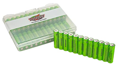 Interstate Batteries AAA Alkaline Battery (48 Pack) All-Purpose 1.5V High Performance Battery - Workaholic (DRY7002)