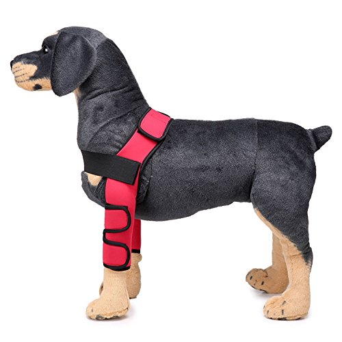 SELMAI Dog Front Leg Brace Support Canine Paw Compression Wrap Shoulder Protects Wounds Brace Extra Supportive Hock Joint for Heals Prevents Injuries Sprains, Arthritis Helps Loss of Stability Red M