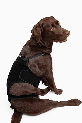 Labra Dog Canine K9 Back Brace - IVDD Spine Pain & Spinal Injury, Arthritis, Bulging Discs Brace for Corgis, Dachshund, Post Surgery Recovery, Rehab, Inflammation - Extra Small