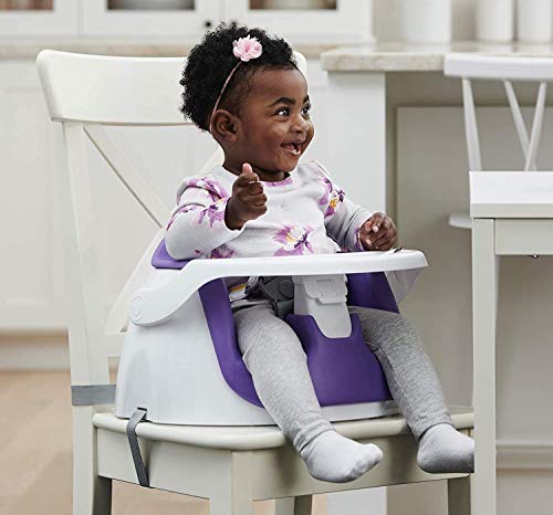 Regalo My Little 2-in-1 Booster Seat and Grow with Me Floor Seat with Removable Feeding Tray, Indoor and Outdoor Activity Chair, Purple