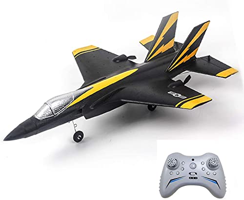 Landbow RC Plane - 2.4Ghz 4 Channels Remote Control Airplane Ready to Fly,RC Plane Built in 6-Axis Gyro,3D/6G Fly Modes RC Jet for Advanced Kids Adult,RC Airplane for Beginner (Black)