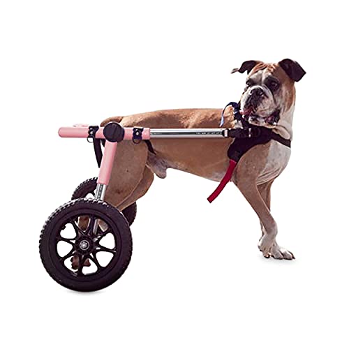 Walkin' Wheels Dog Wheelchair - for Large Dogs 70-180 Pounds - Veterinarian Approved - Dog Wheelchair for Back Legs