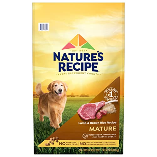 Natures Recipe Mature Dry Dog Food, Lamb & Rice Recipe, 24 Pound Bag
