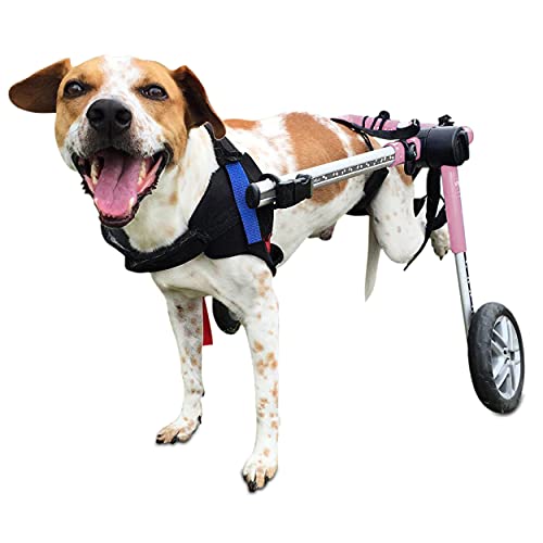 Dog Wheelchair - for Medium Dogs 26-49 Pounds - Veterinarian Approved - Dog Wheelchair for Back Legs