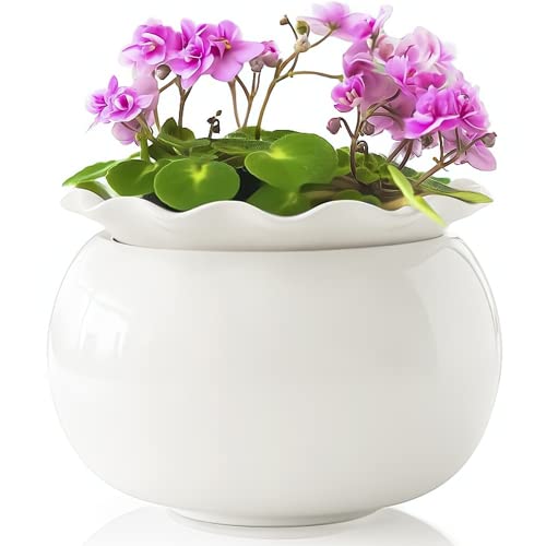 African Violet Pots 6 Inches Ceramic, Self Watering Pots for Indoor Plants for Busy Plant Lovers, Easy Plant Self Watering Pot, Plant Pots, Flower Pot, Plant pots Indoor.