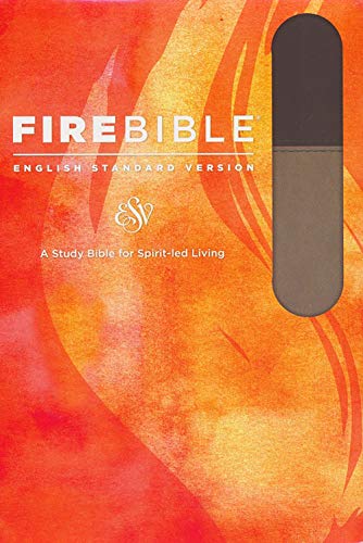 ESV Fire Bible, Flexisoft (Red Letter, Imitation Leather, Slate/Charcoal): English Standard Version