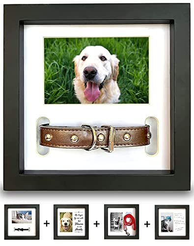 PAWCEPTIVE Dog Memorial Picture Frame with 5 Display Options- Dog Collar Memorial Frame Gift - Cat or Dog Pet Loss Gift for a Grieving Friend - Pet Remembrance Gift and Sympathy Photo Keepsake