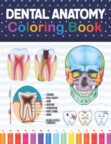 Dental Anatomy Coloring Book: Learn the Basics of Dental Anatomy. Dental Anatomy Coloring Book for Cute Children's, Kids, Boys, Girls, Dental ... Dentists. Anatomy Book for Dental Students.