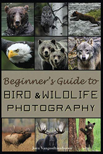 Beginner's Guide to Bird and Wildlife Photography: Learn and master the art of wildlife photography