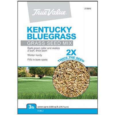 Barenbrug USA TVKBG3 TV 3 lb Kentucky Bluegrass Seed