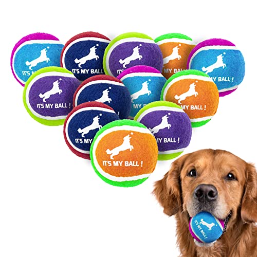 EXPAWLORER Squeaky Tennis Balls for Dogs-12 Pack High Elastic Durable Dog Tennis Balls for Aggressive Chewers, Interactive Dog Chew Toys for Training, Fetching, Chewing, Playing, Chasing