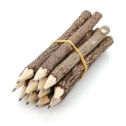 BSIRI Pencil Wood Favors of Graphite Wooden Tree Rustic Twig Pencils Unique Birch of 12 Camping Lumberjack Decorations Party Supplies Novelty Gifts as a Natural Pencil Gifts for Kids in Classroom