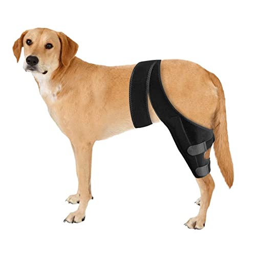 JUANWAN Dog Knee Brace Leg Braces - Dog Canine Knee Stifle Brace Wrap Dog Knee Brace for Torn ACL Hind Leg Joint Pain Muscle Sore Pet Brace Reduces Pain and Inflammation (L)