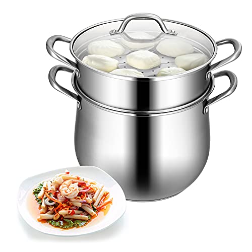 COSTWAY 2-Layer Stainless Steel Steamer, 11 Cookware Steamer with Tempered Glass Lid & Loop Handles, Saucepot for Soup and Steaming Food, Work on Gas, Grill Stove