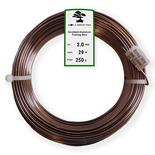 Anodized Aluminum 2.0mm Bonsai Training Wire 250g Large Roll (95 feet) - Choose Your Size and Color (2.0mm, Brown)