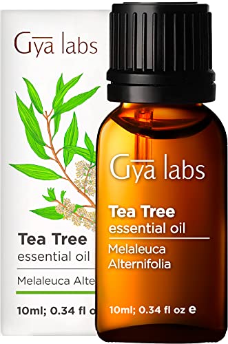 Gya Labs Australian Tea Tree Oil for Skin, Hair, Face & Toenails - 100% Natural Melaleuca Oil Tea Tree Essential Oil for Piercings, Scalp & Hair - 100% Pure Oils (0.34 fl oz)