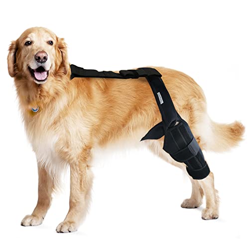 MerryMilo Dog Knee Brace For Support With Cruciate Ligament Injury, Joint Pain And Muscle Sore, Better Recovery With Dog ACL Knee Brace, Adjustable Rear Leg Braces For Dogs, Pet Knee Brace(Size: M)