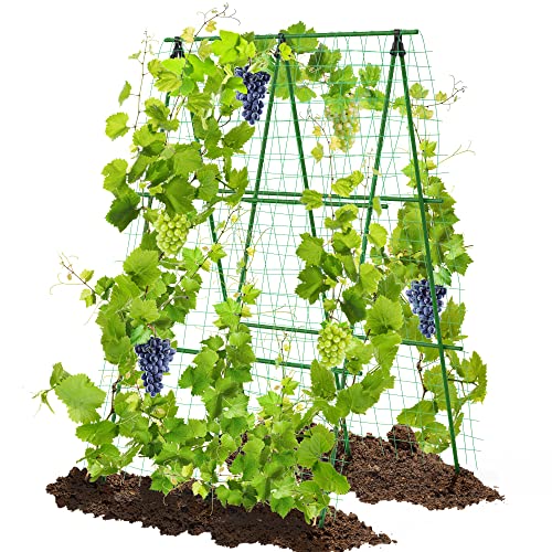 4Feet WX6Feet H Garden Trellis for Cucumber Climbing Plants Outdoor,Sturdy Metal Plant Support Tower Garden Vegetable Fruit Vine Cucumber Trellis, A Frame Trellis