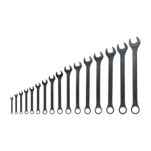 Neiko 03574A Jumbo Combination Wrench Set | 16 Piece | SAE | 1/4 to 1-1/4 | Raised Panel Construction