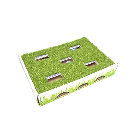 Petstages Grass Patch Hunting Box Cat Toy