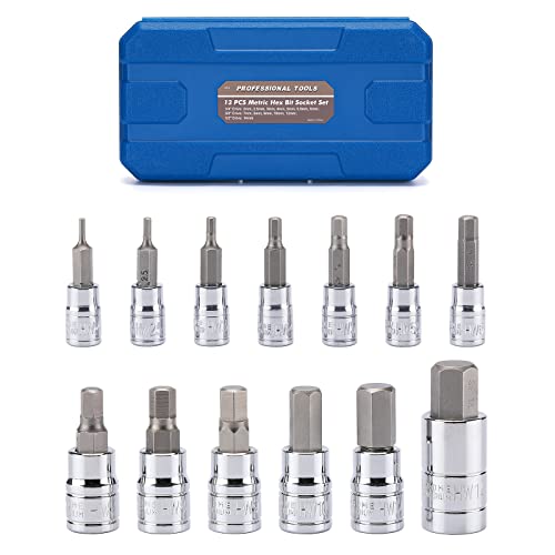 Mayouko 13PCS Metric Hex Bit Socket Set, CR-V Allen Bit Socket Kit, S2 Steel, 2mm - 14mm, 1/4", 3/8" & 1/2" Drive