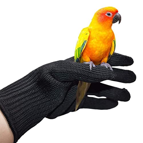 KUYYFDS Parrot Anti Bite Gloves Pet Protective Gloves Pet Training Wire Gloves Chewing Working Safety Gloves for Parrot Hamster - Black 1Pair Safety Work Gloves