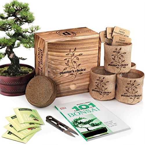 Bonsai Starter Kit - DIY Bonsai Growing Gift - Garden Hobbies for Adults, Women & Men : 4 Unique Tree Seeds, Soil, Pots, Pruning Shears, Plant Markers + Wood Gift Box