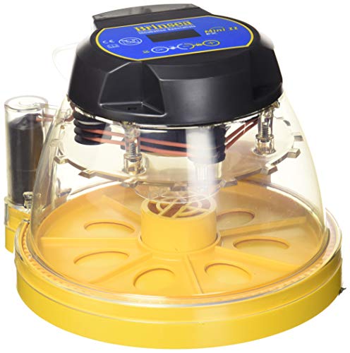 Brinsea Products Mini II Ex Fully Automatic 7 Egg Incubator with Humidity Control, One Size, Yellow/Black (USAB17C)