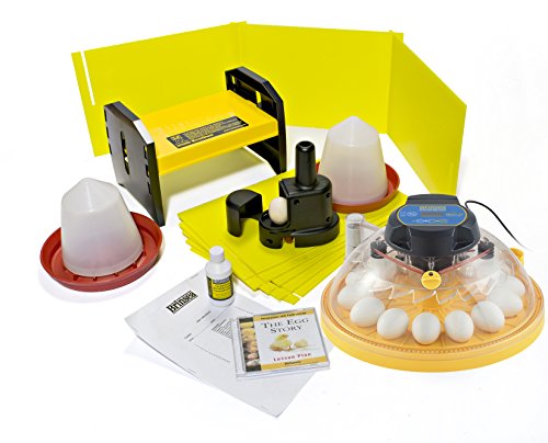 Brinsea Products USAC26CP Maxi II Advance 14 Egg Incubator Classroom Pack, One Size, Yellow/Black