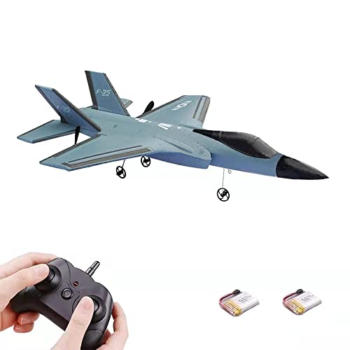 RC Plane, 2.4Ghz 2 Channel Remote Control Airplane Ready to Fly,RC Aircraft Built in 6-Axis Gyro,Easy Fly RC Plane for Kids Boys Beginner(Two Batteries)