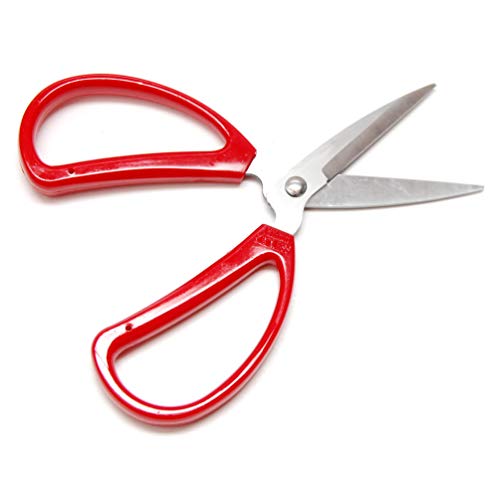 Hometeq 6" Scissors Multi-Purpose Stainless Steel Sharp Scissors with Red Handle - Perfect for Cutting