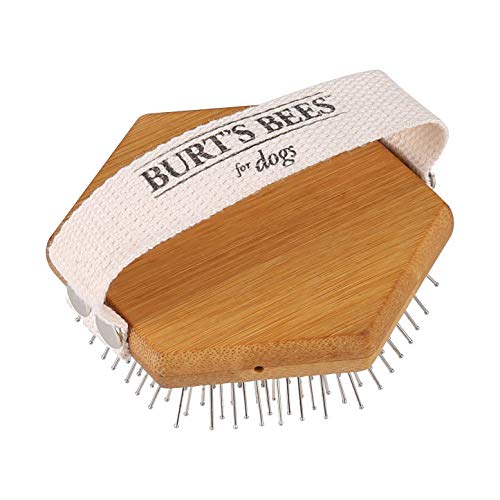 Burt's Bees for Pets Palm Detangling Brush All Natural Bamboo Dog Brush Detangler with Adjustable Strap for Great Dog Brushing Dog Hair Detangler Pin Brush, Best Dog Grooming Tools Brown