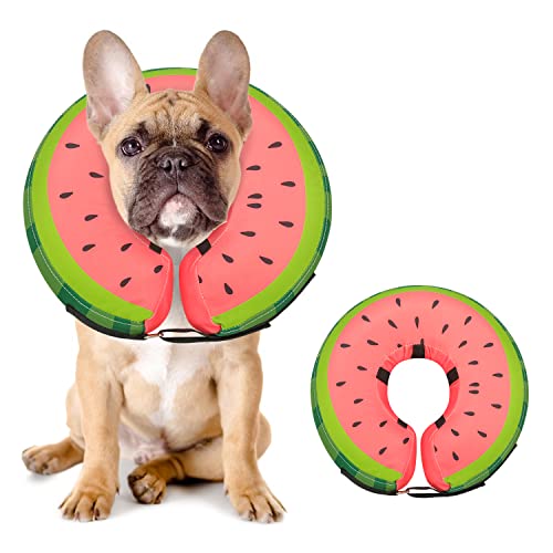 Dog Cone Collar for Small Medium Large Dogs for After Surgery, Pet Inflatable Neck Donut Collar Soft Protective Recovery Cone for Dogs and Cats - Alternative E Collar Does not Block Vision - Red,M