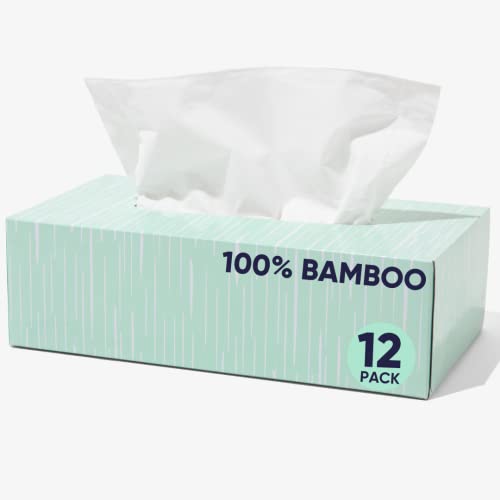 Bamboo Facial Tissues Box by Cloud Paper - 12 Bamboo Tissue Boxes, 100 Hypoallergenic Facial Tissues per Box - Unscented, Fragrance-Free, Eco-Friendly Tissues in Plastic-Free Packaging