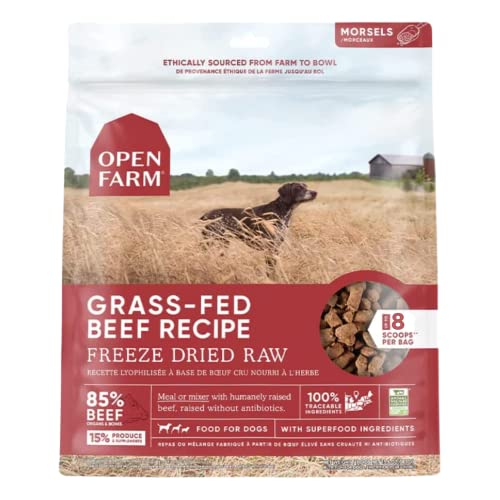 Open Farm Freeze Dried Raw Dog Food, Humanely Raised Meat Recipe with Non-GMO Superfoods and No Artificial Flavors or Preservatives, Grass Fed Beef Recipe Freeze Dried - 3.5oz
