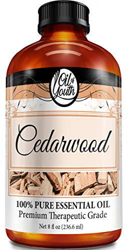 Oil of Youth Essential Oils 8oz - Cedarwood Essential Oil - 8 Fluid Ounces