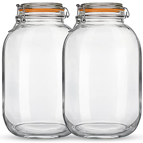 Qianfenie Glass Jars with Airtight Lids, 2 Pack - 1 Gallon Wide Mouth Mason Jars with Hinged Lids for Fermenting, Canning, Preserving - Storage Jar with 1 Replacement Silicone Gaskets